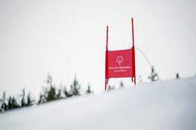 Schneehang mit Ski Alpin Tor der Special Olympics Nationalen Winterspiele